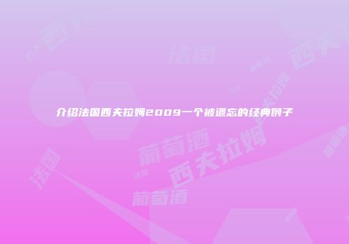 介绍法国西夫拉姆2009一个被遗忘的经典例子