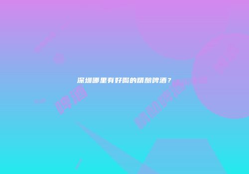 深圳哪里有好喝的精酿啤酒？