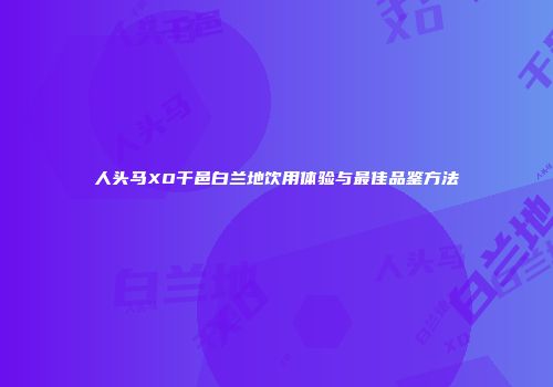 人头马XO干邑白兰地饮用体验与最佳品鉴方法