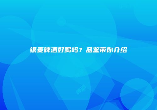 银麦啤酒好喝吗？品鉴带你介绍