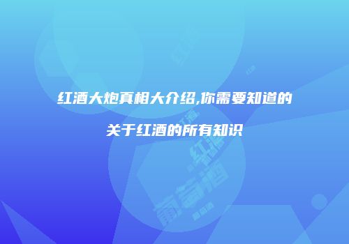 红酒大炮真相大介绍,你需要知道的关于红酒的所有知识