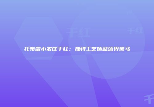 托布雷小农庄干红：独特工艺铸就酒界黑马