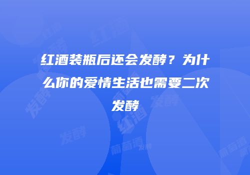 红酒装瓶后还会发酵？为什么你的爱情生活也需要二次发酵
