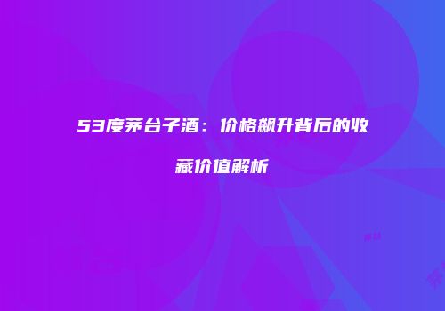 53度茅台子酒：价格飙升背后的收藏价值解析