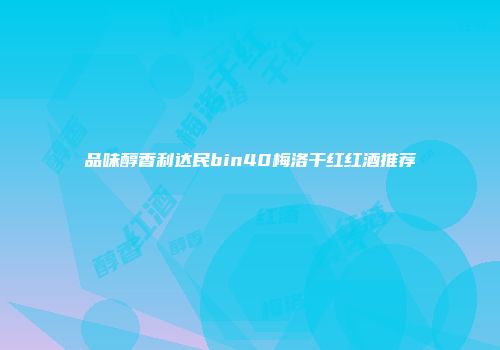 品味醇香利达民bin40梅洛干红红酒推荐