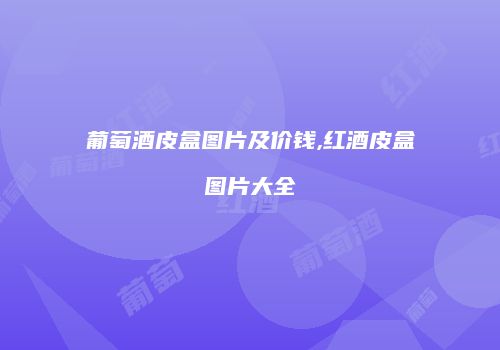 葡萄酒皮盒图片及价钱,红酒皮盒图片大全