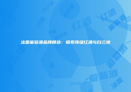 法国葡萄酒品牌精选：探索顶级红酒与白兰地