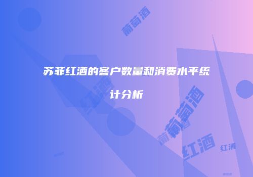 苏菲红酒的客户数量和消费水平统计分析