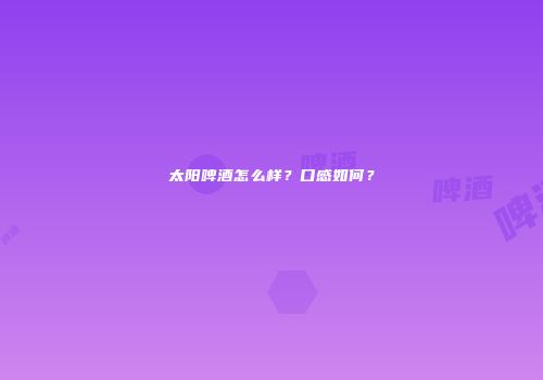 太阳啤酒怎么样？口感如何？