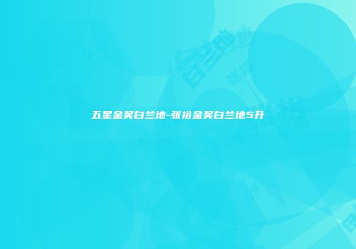 五星金奖白兰地-张裕金奖白兰地5升