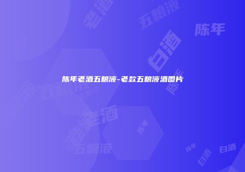 陈年老酒五粮液-老款五粮液酒图片