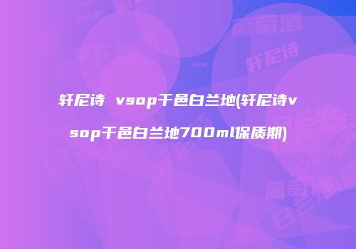 轩尼诗 vsop干邑白兰地(轩尼诗vsop干邑白兰地700ml保质期)