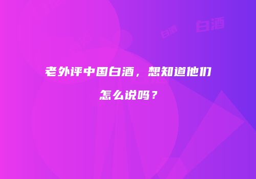 老外评中国白酒，想知道他们怎么说吗？