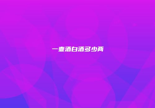 一壶酒白酒多少两