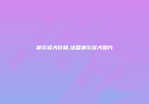 波尔多犬价格,法国波尔多犬图片