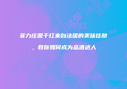 菲力庄园干红来自法国的美味佳酿，教你如何成为品酒达人