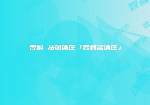 智利 法国酒庄「智利名酒庄」