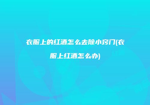 衣服上的红酒怎么去除小窍门(衣服上红酒怎么办)