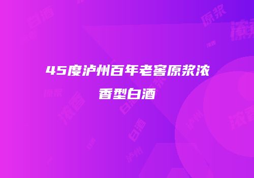 45度泸州百年老窖原浆浓香型白酒