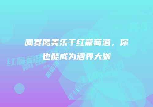 喝赛鹰美乐干红葡萄酒，你也能成为酒界大咖