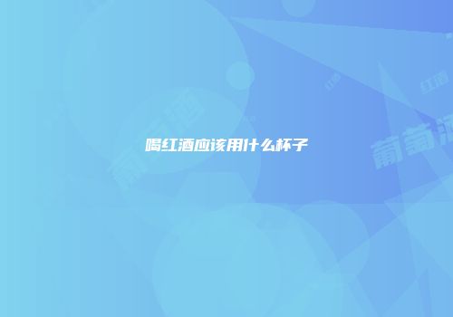 喝红酒应该用什么杯子