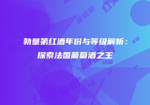 勃垦第红酒年份与等级解析：探索法国葡萄酒之王