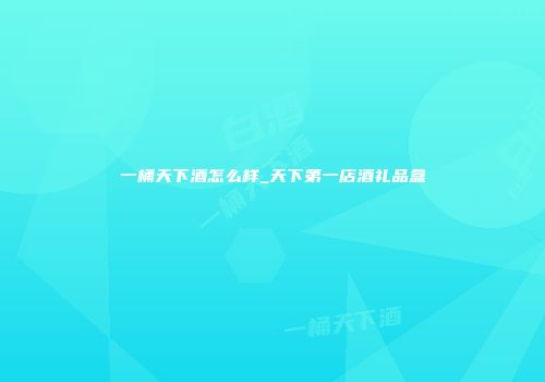 一桶天下酒怎么样_天下第一店酒礼品盒