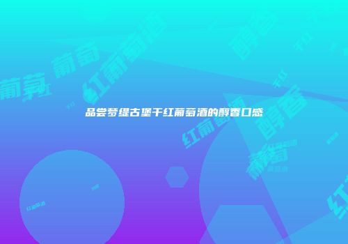 品尝梦缇古堡干红葡萄酒的醇香口感
