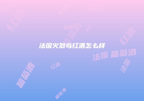 法国火烈鸟红酒怎么样