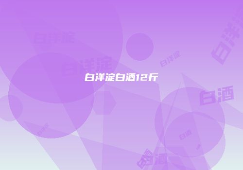 白洋淀白酒12斤