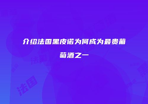 介绍法国黑皮诺为何成为最贵葡萄酒之一