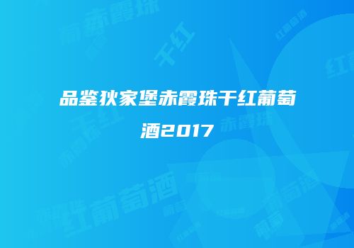 品鉴狄家堡赤霞珠干红葡萄酒2017