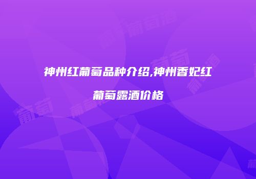 神州红葡萄品种介绍,神州香妃红葡萄露酒价格