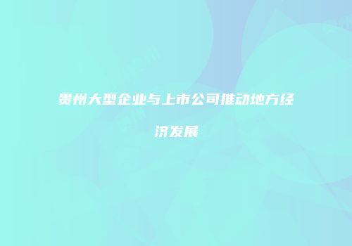 贵州大型企业与上市公司推动地方经济发展