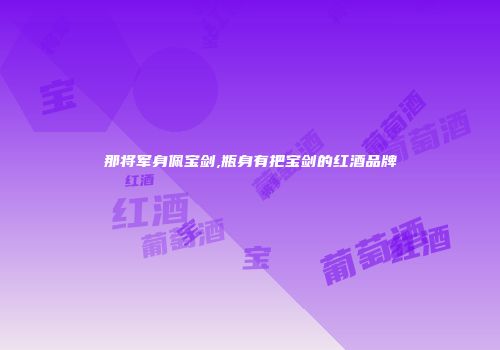 那将军身佩宝剑,瓶身有把宝剑的红酒品牌