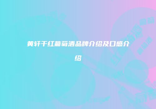 黄轩干红葡萄酒品牌介绍及口感介绍