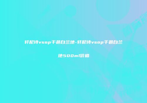 轩尼诗vsop干邑白兰地-轩尼诗vsop干邑白兰地500ml价格