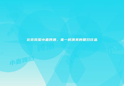 北京凤梨小麦啤酒，来一杯清爽的夏日饮品