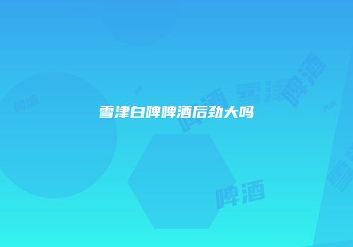 雪津白啤啤酒后劲大吗