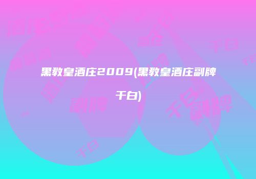 黑教皇酒庄2009(黑教皇酒庄副牌干白)