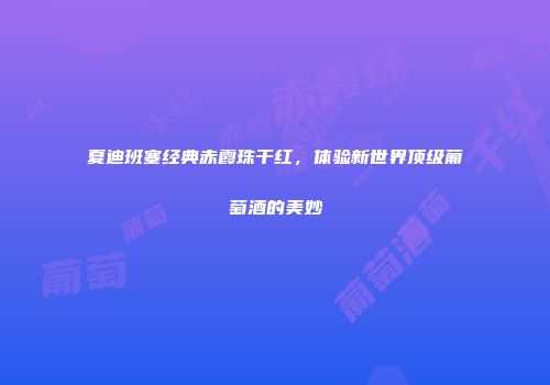 夏迪班塞经典赤霞珠干红，体验新世界顶级葡萄酒的美妙