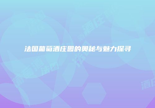 法国葡萄酒庄园的奥秘与魅力探寻