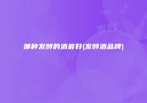 哪种发酵的酒最好(发酵酒品牌)