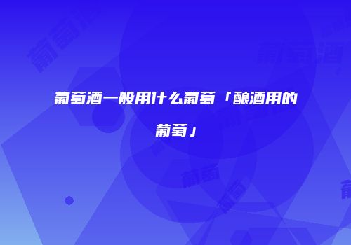 葡萄酒一般用什么葡萄「酿酒用的葡萄」