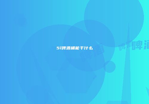 5l啤酒桶能干什么