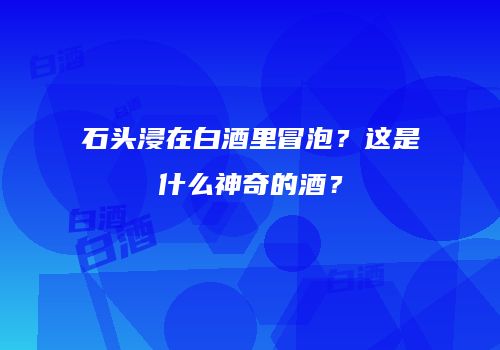 石头浸在白酒里冒泡？这是什么神奇的酒？