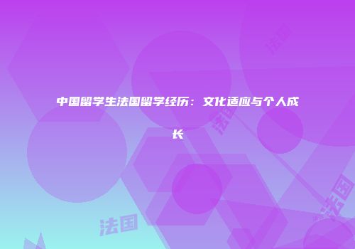 中国留学生法国留学经历：文化适应与个人成长
