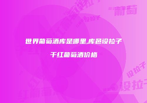 世界葡萄酒库是哪里,库邑设拉子干红葡萄酒价格