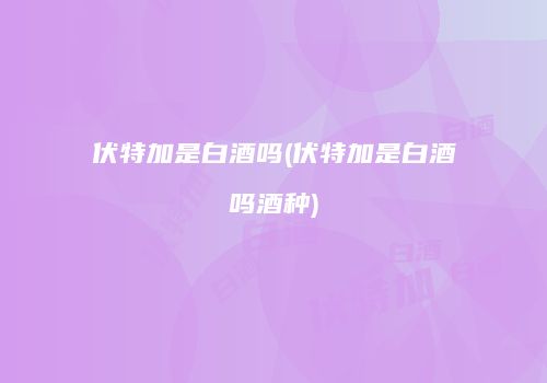 伏特加是白酒吗(伏特加是白酒吗酒种)