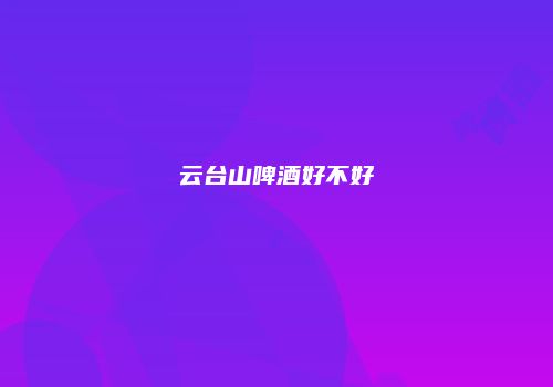云台山啤酒好不好
